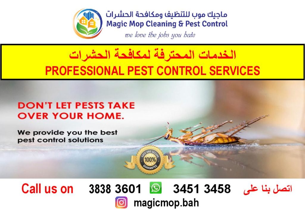 Magic Mop Cleaning & Pest Control