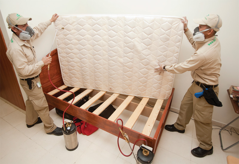 Anti Coronavirus Disinfection & Pest Control Services in Bahrain.